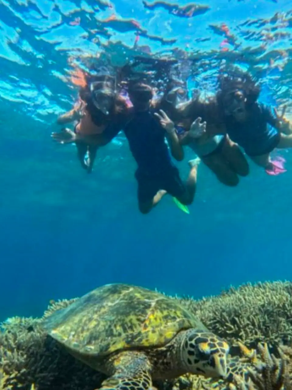 2-Snorkeling (3)